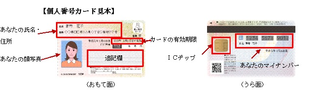写真：個人番号カード見本（おもて面、うら面）