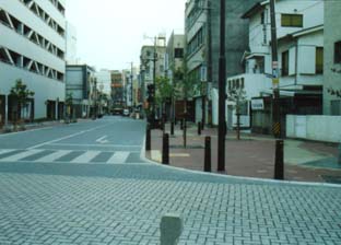 写真：蕪城町コミュニティ道路