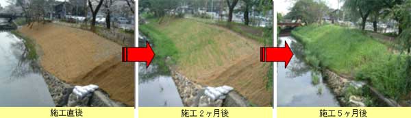 写真：準用河川　清水川2　施工直後、施工2か月後、施工5か月後
