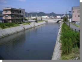 写真:新荒田川