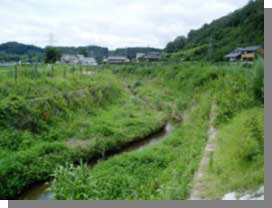 写真：戸石川