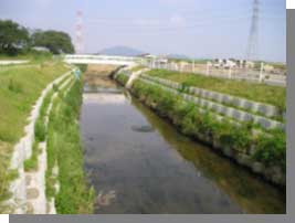 写真:西出川