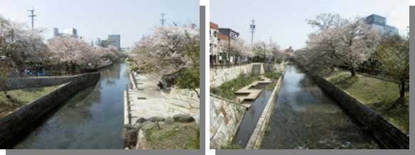 写真：清水川コミュニティ水路