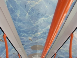 写真：連節バス天井