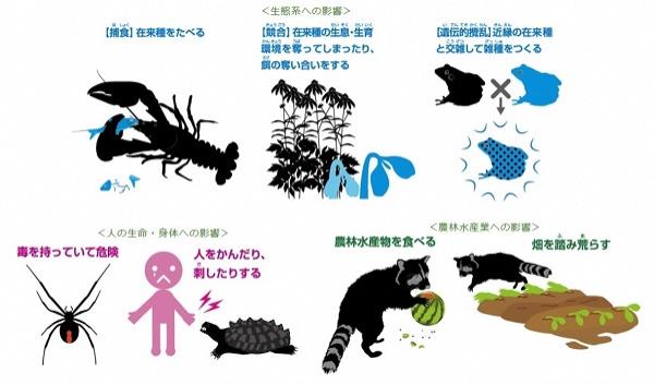 本当にそんなに悪いことですか?