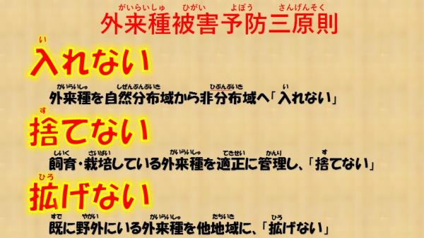 イラスト：外来種被害予防三原則　入れない、捨てない、拡げない