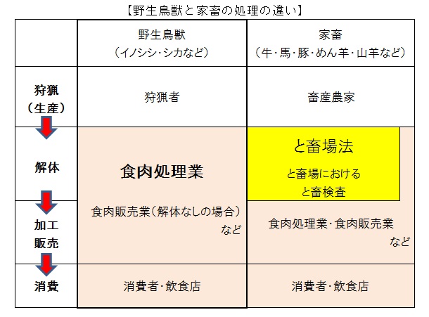 表：野生鳥獣と家畜の処理の違い