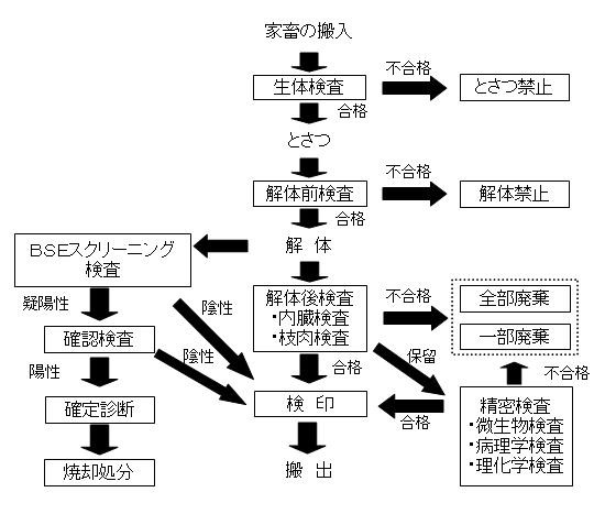 イラスト：と畜検査のフローチャート