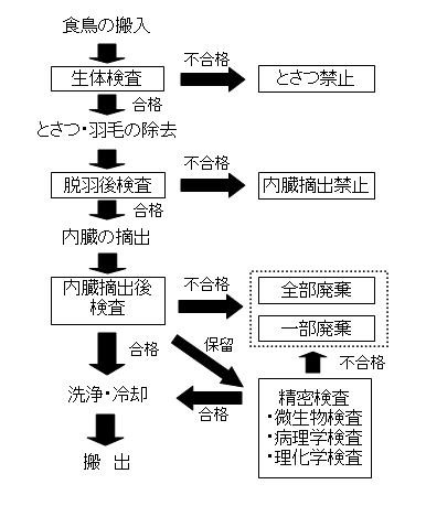 イラスト：食鳥検査のフローチャート