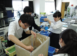 写真:飼育状況