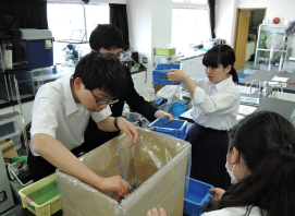 写真：飼育状況