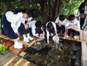 写真：岐阜高校自然科学部