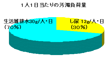 グラフ：1人1日当たりの汚濁負荷量はし尿が13グラムで約30パーセント、生活雑排水が30グラムで70パーセントを占めています。