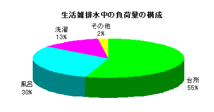 グラフ：生活雑排水中の負荷量の構成は台所からが55パーセント、風呂が30パーセント、洗たくが13パーセント、その他2パーセントとなっています。