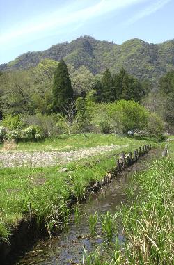 写真：達目洞（逆川上流）