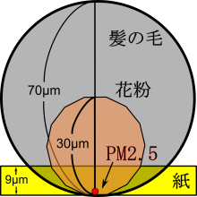 イラスト：PM2.5の大きさ