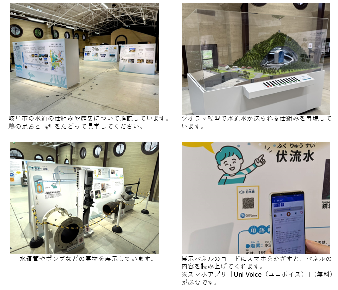 展示物の写真