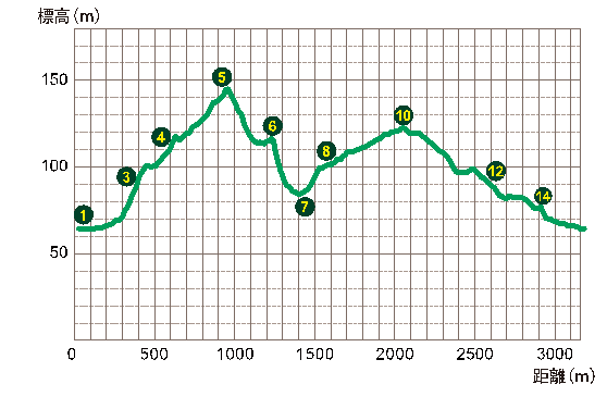 イラスト：百々ヶ峰・ながら川ふれあいの森コース高低差