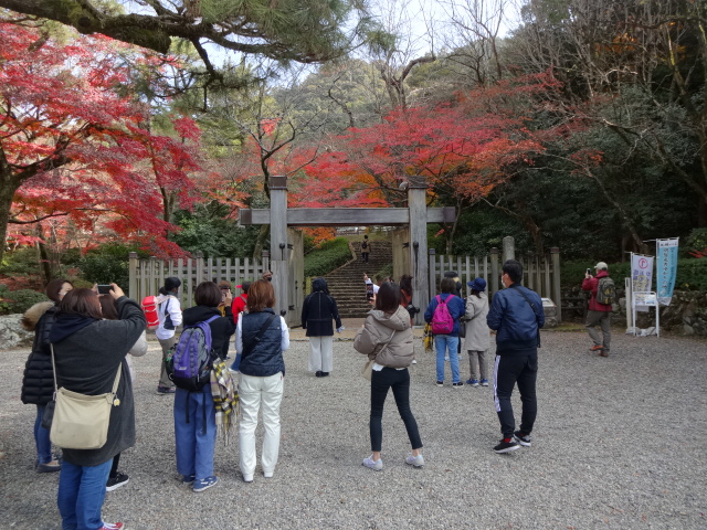写真：岐阜公園