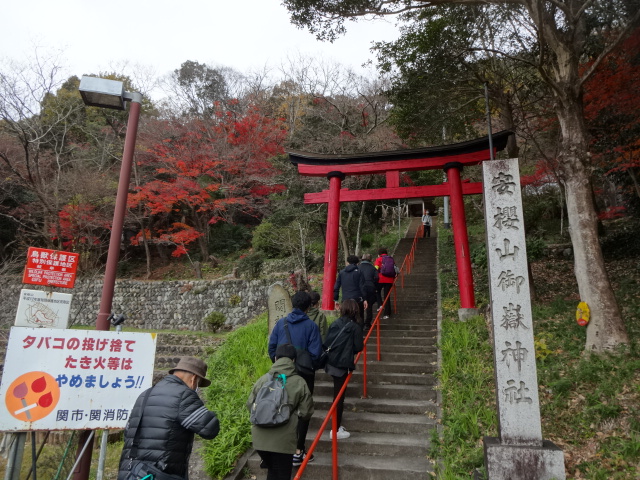 写真：安桜山コース