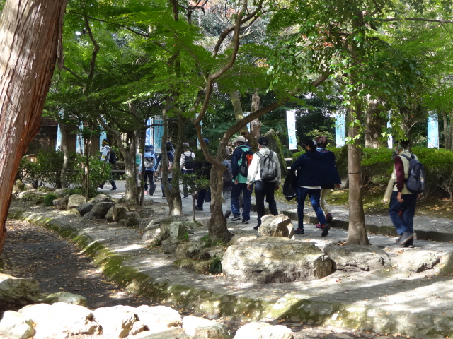 写真：ウオーキング