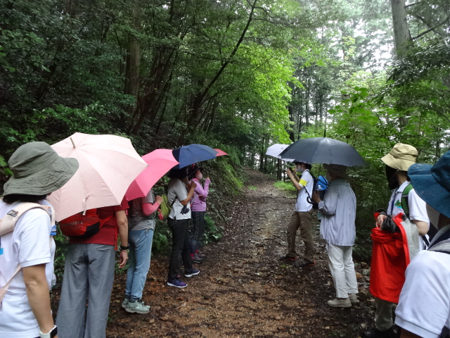 写真：運動強度の確認