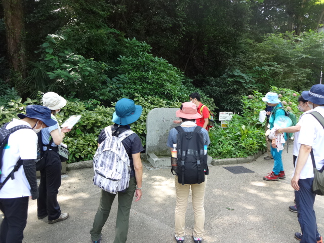 写真：冷たくさらさら