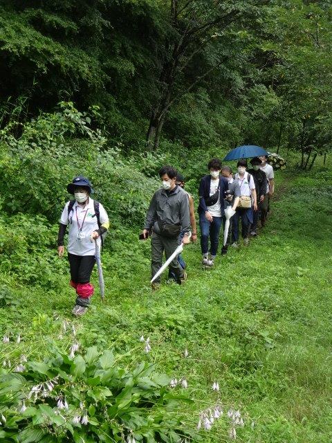 写真：ウオーキング