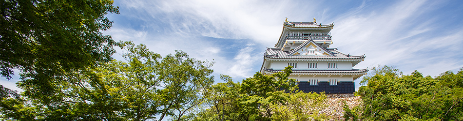 写真：岐阜城