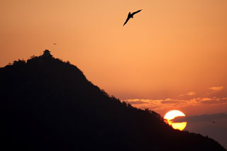 写真：夕焼け