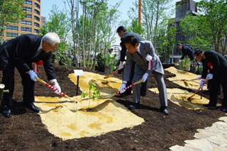 写真：苗木を植樹