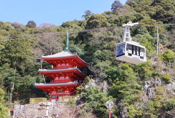 写真：三重塔全景