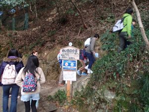 写真：登山の様子1