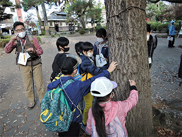 写真：触って体感