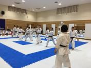 photo: practice of karate2