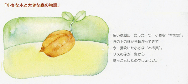 イラスト：広い草原にたった一つ小さな“木の実”。丘の上の林から転がってきて今芽吹いた小さな“木の実”。リスの子が巣から落っことしたのでしょうか。
