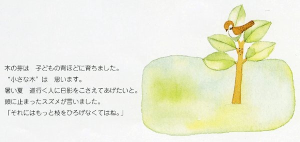 イラスト：木の芽は子どもの背ほどに育ちました。“小さな木”は思います。暑い夏　道行く人に日影をこさえてあげたいと。頭に止まったスズメが言いました。「それにはもっと枝をひろげなくてはね。」