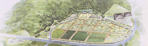 イラスト：岐阜市健康ふれあい農園のイメージ図