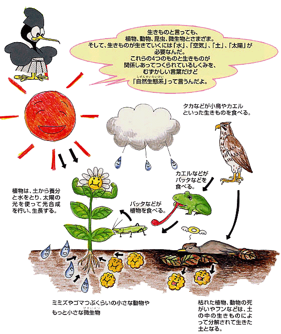 イラスト：自然生態系の図1
