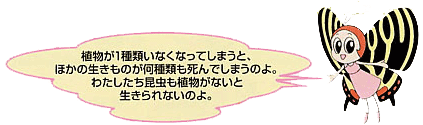 植物が1種類いなくなってしまうと、ほかの生きものが何種類も死んでしまうのよ。わたしたち昆虫も植物がないと生きられないのよ。