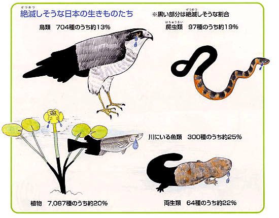 イラスト：絶滅しそうな日本の生きものたちの図