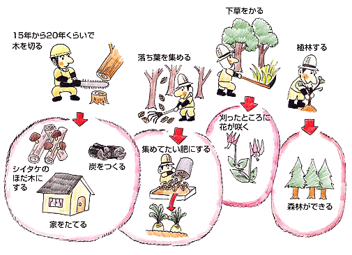 イラスト：昔の人たちの知恵