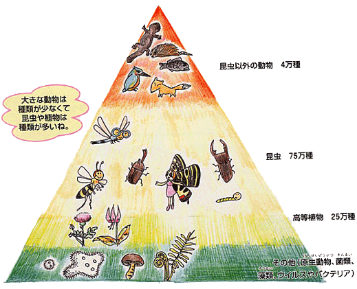 イラスト：自然生態系の図2