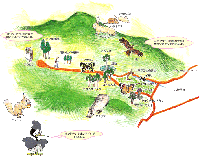 山県北野コース案内図
