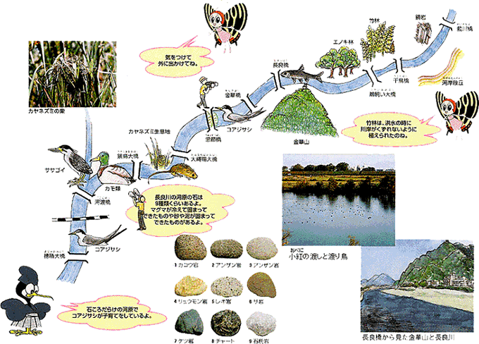 長良川コース案内図