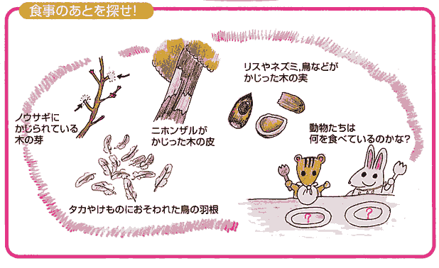 イラスト：食事のあとを探せ！