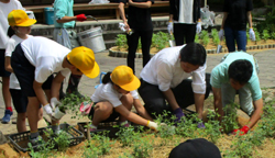 写真：花壇づくり活動に参加する市長