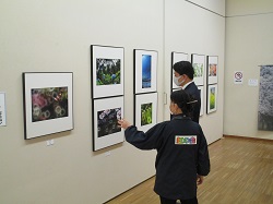 写真：鑑賞する市長