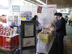 写真：視察する市長