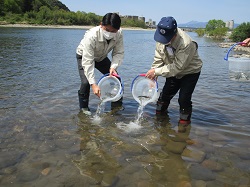 写真：放流する様子